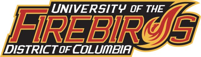 District of Columbia Large Decal Primary Mark - ONLINE ONLY
