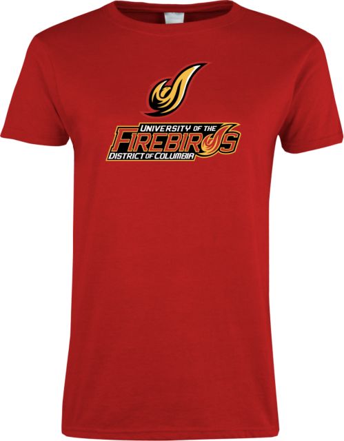 District of Columbia Ladies T Shirt Secondary Mark - ONLINE ONLY