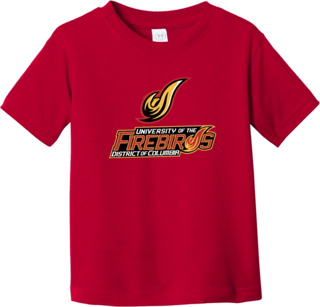 District of Columbia Toddler T Shirt Secondary Mark - ONLINE ONLY