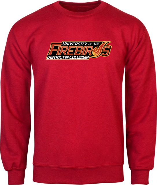 District of Columbia Fleece Crew Primary Mark - ONLINE ONLY