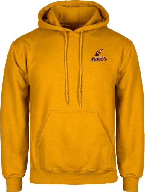 District of Columbia Fleece Hoodie Secondary Mark - ONLINE ONLY